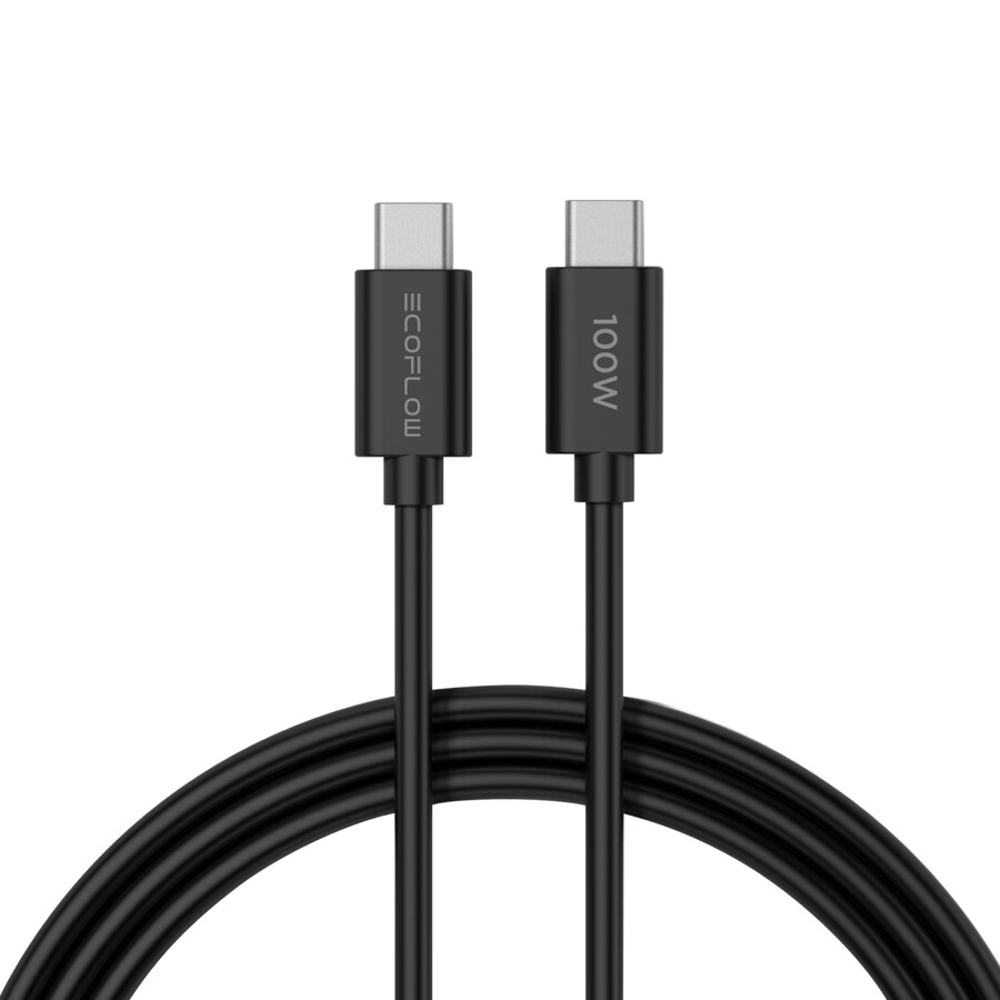 ecoflow rapid 65w gan-ladegerät mit 100w-kabel